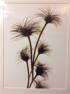 Image description is not available for 2012.012